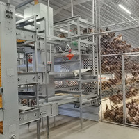 Exclusivement pour l'Europe et l'Australie cages pour poules pondeuses poules pondeuses les cages pour poules pondeuses peuvent marcher librement
