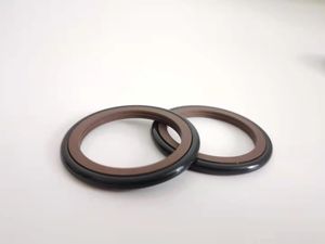 Sello Hidráulico NBR PTFE Bronce STD HBTS <span class=keywords><strong>GSJ</strong></span>, Sello de Varilla, Sello de Pistón para Cilindro Hidráulico SPGO SPG SPGW - Product Image 4