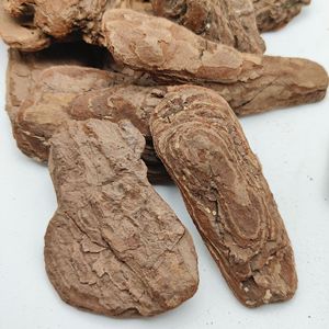 Les fabricants produisent en gros des écailles de pin polies, du paillis biologique de jardin, du verdissement d'écorce de pin poli fermenté - Product Image 2