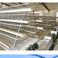 Nouvelles cages à poules pondeuses en acier galvanisé de type A, 120, 128, 160 poules, 4 niveaux, automatiques, longue durée de vie, garantie 1 an