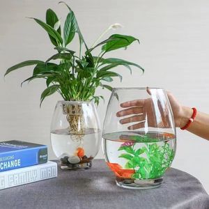 European Hydroponic Transparent Fashion Decoration Round Mouth Glass Fish tank Home Large Capacity Breeding Glass <strong>Vase</strong> - Product Image 3