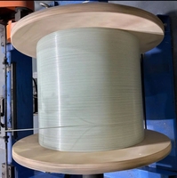 Câble à fibre optique DMIS 0,4 mm 0,5 mm en fibre de verre renforcée (FRP) 1 conducteur Modèle 0,4-5,0