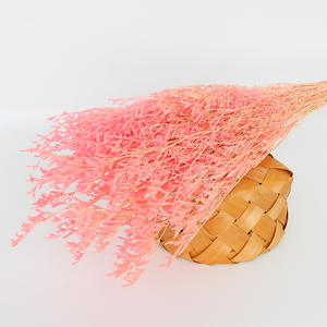 ดอกไม้แห้งขายส่ง หญ้าวาเลนไทน์ฟอกขาวธรรมชาติ ลิโมเนียมสีขาวคงสภาพ - Product Image 3