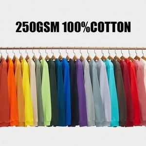 Men's 250gsm 100% Cotton Long Sleeve T-Shirt Oversize Hooded with Custom Logo Printing Winter Loose Fit Knitted Fabric - Product Image 6