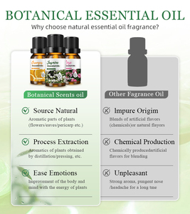 Thương Hiệu Riêng 100% Hữu Cơ Tinh Khiết Tinh Dầu Thiết Lập Tùy Chỉnh Hộp Quà Tặng, Thích Hợp Cho Nhà Khuếch Tán Và Mát-xa - Product Image 6