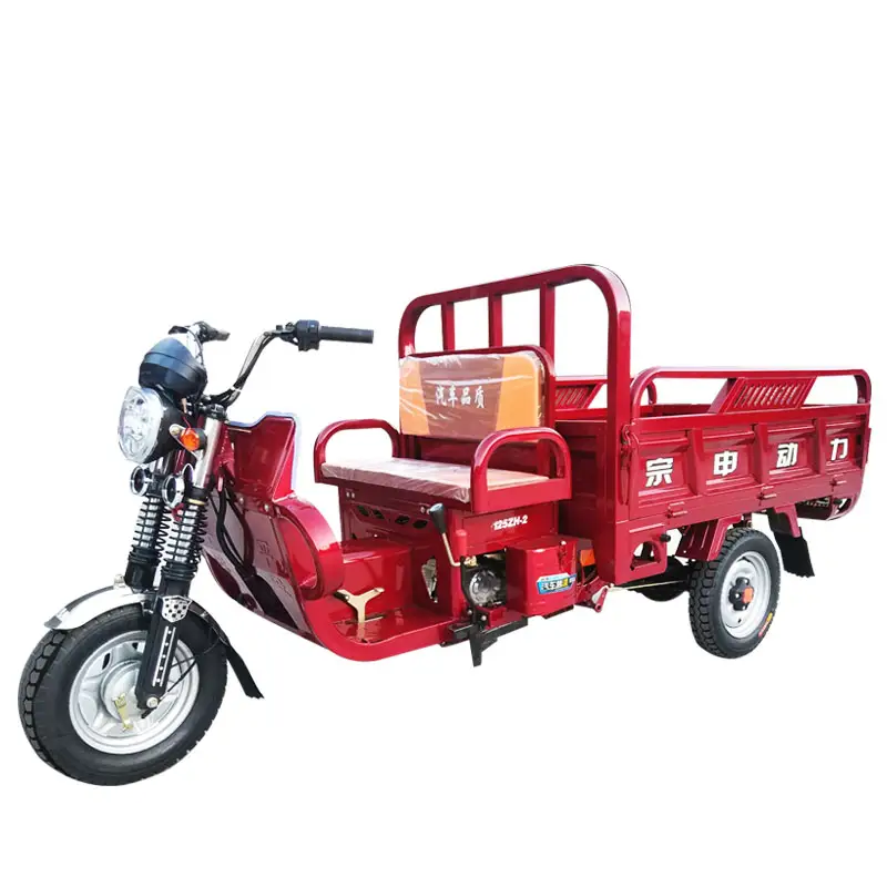 Motore 150cc motore triciclo cargo triciclo moto triciclo olio combustibile per il trasporto merci