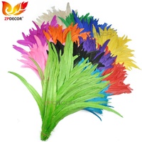 ZPDECOR - Bleached Dyed Rooster Tail Feathers for Carnival Costume and Samba Dance