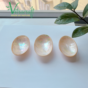 Assiette de conque unique avec support Assiette de caviar faite à la main vietnamienne Assiette de service à caviar chère Sûre à utiliser Taille 6-7cm - Product Image 4