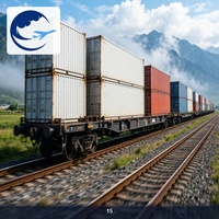 Transport ferroviaire direct Chine-Europe de Hefei vers l'Estonie, frais de douane payés, service DDP Chine-Europe