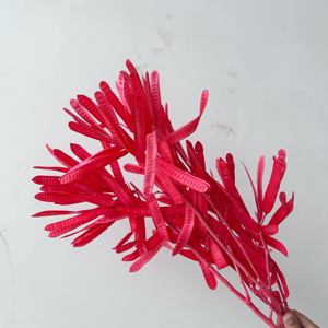 Vaina de Lentejuela Preservada a Granel - Compre <span class=keywords><strong>Flores</strong></span> Artificiales al por Mayor de China |   Regalo Romántico para el Día de San Valentín <span class=keywords><strong>y</strong></span> Elegante Recuerdo de Boda - Product Image 1