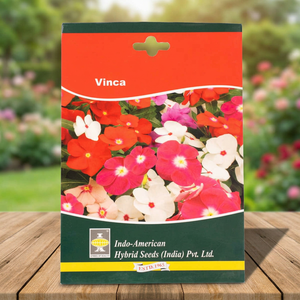 IAHS VINCA PACIFICA XP MIX Flores Secas India 25 Semillas Multicolor Paquete de 25 - Product Image 3