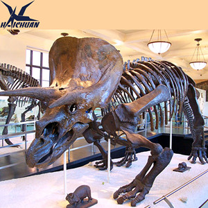 Intérieur Extérieur Musée Fossile Décoration Répliques <span class=keywords><strong>de</strong></span> <span class=keywords><strong>Squelette</strong></span> <span class=keywords><strong>de</strong></span> <span class=keywords><strong>Dinosaure</strong></span> Triceratops en Fibre <span class=keywords><strong>de</strong></span> Verre Grandeur Nature - Product Image 4