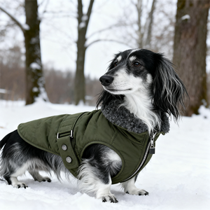 Luxury Winter All-Weather <strong>Dog</strong> Jacket Waterproof Puffer Pet <strong>Coat</strong> for Bassotto Wiener Dachshund Hamburg Teckel <strong>Sausage</strong> Polyester - Product Image 3