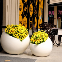 Pot de fleurs ovale en fibre de verre blanc brillant pour la décoration intérieure des hôtels, des restaurants et des halls d'entrée