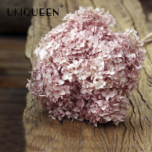 UKIQUEEN, <span class=keywords><strong>precio</strong></span> de fábrica al por mayor, hortensias blancas secas naturales, flores preservadas para el Día de San Valentín, Año Nuevo, Día del Padre - Product Image 4