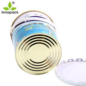 Seau à <span class=keywords><strong>peinture</strong></span> en métal <span class=keywords><strong>de</strong></span> <span class=keywords><strong>1</strong></span> gallon <span class=keywords><strong>de</strong></span> 4 litres et 5 litres avec couvercle en étain et poignée en plastique - Product Image 2