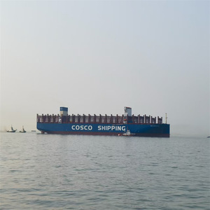 Contenedores de Carga General, Envío Internacional, Contenedor de 30 Toneladas, Transporte Global, Estructura Fija, LCL Express - Product Image 3