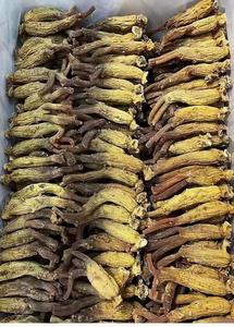 Grosir Ginseng Korea asli impor dalam jumlah besar dengan akar asli yang dipilih dengan hati-hati - Product Image 2