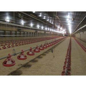 Granja avícola, gallinero, Gallinero - Product Image 3