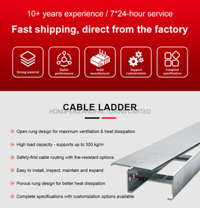 Custom Size Hot-Dip Galvanized Steel Cable Ladder Tray for Factory Electrical Wiring with Corrosion Resistant - Product Image 2