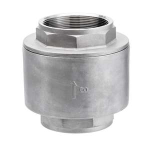 SUS304เช็ควาล์วแบบสปริง3 "ขนาดกะทัดรัดสำหรับท่อน้ำ NPT แบบเกลียว - Product Image 1