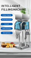 Machine de remplissage de granulés 100g pour composants de pesage individuel, vis de distribution sur mesure, bijoux en plastique et produits secs