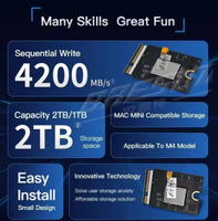 Kit SSD Solid State Drive 10-Layer Mac MINI M4 1TB 2TB untuk Peningkatan Kapasitas, Upgrade Partikel Baru, Memori yang Lebih Baik dengan Kit Perbaikan DIY