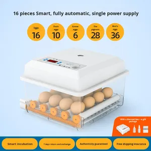Nuova Incubatrice Automatica Intelligente per Uova di Gallina Rouen, 24/<span class=keywords><strong>50</strong></span> Uova, per Uso Domestico, Vendita all'Ingrosso - Product Image 6