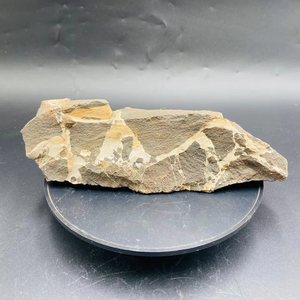 Piedra Natural Mamba Negra de Alta Calidad al por Mayor, Gema Curativa en Bruto y sin Pulir para Decoración del Hogar - Product Image 3