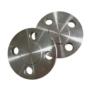 ASME B16.5 NPS 6 Inch 8 Inch 10 Inch 12 Inch Stainless Steel RF Blind Flanges
