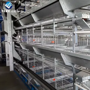 Cage à poules pondeuses moderne de type H équipement pour volailles automatique