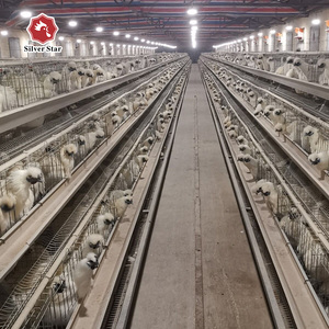 Một Loại Gà Thịt Máy Cho Ăn Trại Gà Lồng - Product Image 6