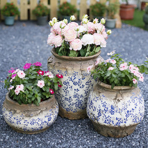 Moldes <span class=keywords><strong>de</strong></span> <span class=keywords><strong>maceta</strong></span> <span class=keywords><strong>de</strong></span> hormigón decorativos para exteriores <span class=keywords><strong>de</strong></span> alta calidad, diseño <span class=keywords><strong>de</strong></span> <span class=keywords><strong>cisne</strong></span>, moldes <span class=keywords><strong>de</strong></span> <span class=keywords><strong>maceta</strong></span> grande para la venta - Product Image 5