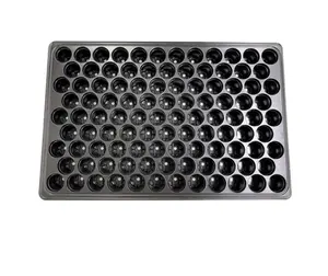 Hot Bán Nhựa 104 Lỗ Nhựa Hạt Giống Tế Bào Khay Cho Dưa Hấu Thái Lan - Product Image 1