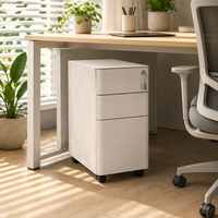 Armoire de classement mobile contemporaine en métal, antistatique, ignifuge, avec tiroirs, pour bureau, rangement sous le bureau