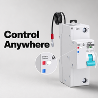 Disjoncteur Wi-Fi 1P sur rail DIN en cuivre 145-230V MCB 63A avec mesure, minuterie, télécommande, reconnexion automatique 10kA, certifié CE