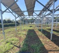 Support solaire photovoltaïque multi-portées en acier galvanisé à chaud, adapté aux pentes, pour projets agricoles