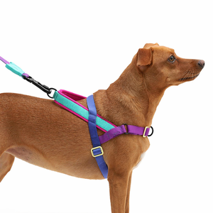 Nuevo arnés para perros con logotipo personalizado, capa de aire acolchada ajustable, arnés para perros, correa para collar de perro de goma, <span class=keywords><strong>bolsa</strong></span> - Product Image 4