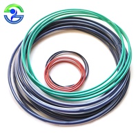 Joint torique en PTFE encapsulé PFA FEP, joint torique creux en caoutchouc FMK FPM, joint torique en silicone VMQ, catégorie de produits : joints
