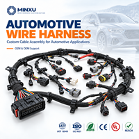 Faisceau de câbles automobiles 18-24AWG, connecteur étanche 2-12 broches, câblage personnalisé OEM pour systèmes électriques de véhicules