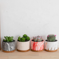 Pots de fleurs en céramique à motifs marbrés nordiques personnalisés, pots à plantes succulentes, vente en gros