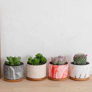 नॉर्डिक संगमरमर पैटर्न संयंत्र बर्तन रसीला बोने की मशीन चीनी मिट्टी फूल बर्तन थोक - Product Image 3