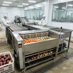 Machine à peler le manioc <span class=keywords><strong>de</strong></span> haute qualité, machine à laver et à peler les pommes <span class=keywords><strong>de</strong></span> terre, les carottes, le taro et les fruits <span class=keywords><strong>de</strong></span> mer, vente directe d'usine - Product Image 6
