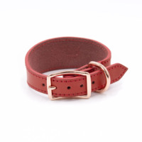 Luxuriöses Modernes Echtleder-Hundehalsband für Whippet & Greyhound mit Solidem Muster, Verstellbarem Riemen und Eleganter Schal-Dekoration