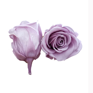 Offre Spéciale préservé rouge coupées fraîches roses fleur <span class=keywords><strong>tête</strong></span> dans une boîte cadeau pour mur de fleurs artificielles - Product Image 2