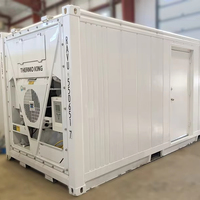 Fabrieksdirect 40 voet Thermo King vriescontainer met nauwkeurige temperatuurregeling voor de logistiek van vis, fruit, vlees en vaccins.