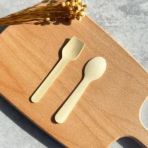 Wholesale Eco-Friendly Bamboo Ice Cream Coffee Party 100mm Mini Bamboo Spoon