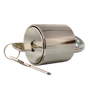 उच्च सुरक्षा भारी शुल्क रोटोलक सुरक्षा पैडलॉक के साथ उच्च सुरक्षा भारी शुल्क रोटोलक सुरक्षा पैडलॉक - Product Image 4