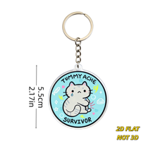 Porte-clés en acrylique « Survivant de maux de ventre » avec chat, design mignon et citation humoristique, anneau métallique durable pour clés, sacs, sacs à dos