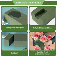 Oasis Greenery Mousse florale hydratante pour fleurs, brique de mousse humide, Oasis Forest